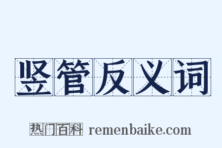 竖管反义词是什么意思的图片